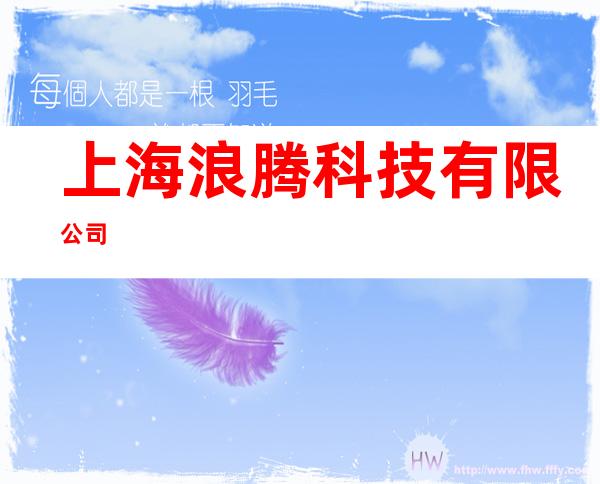 上海浪腾科技有限公司