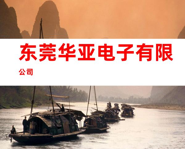 东莞华亚电子有限公司