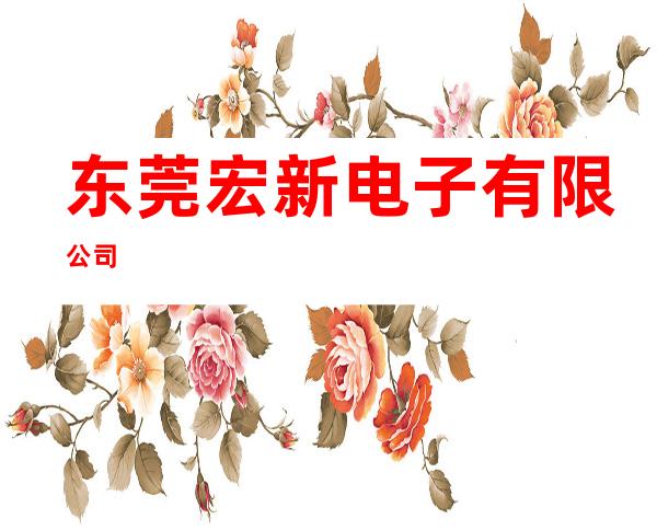 东莞宏新电子有限公司