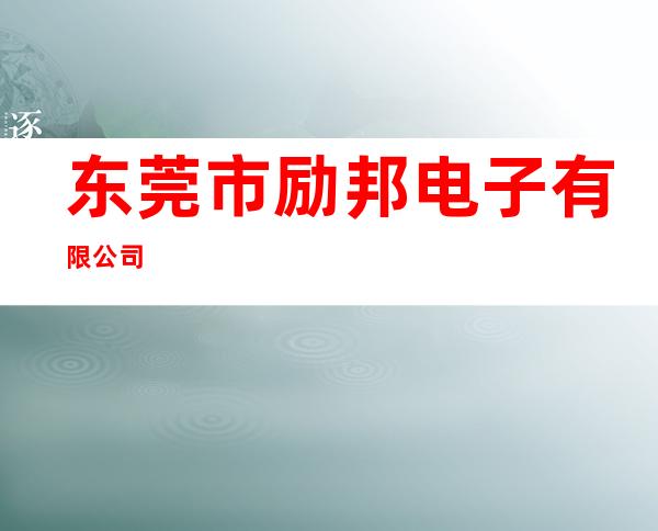 东莞市励邦电子有限公司
