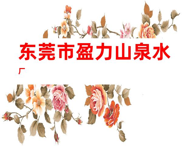 东莞市盈力山泉水厂