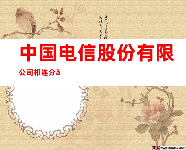 中国电信股份有限公司祁连分公司