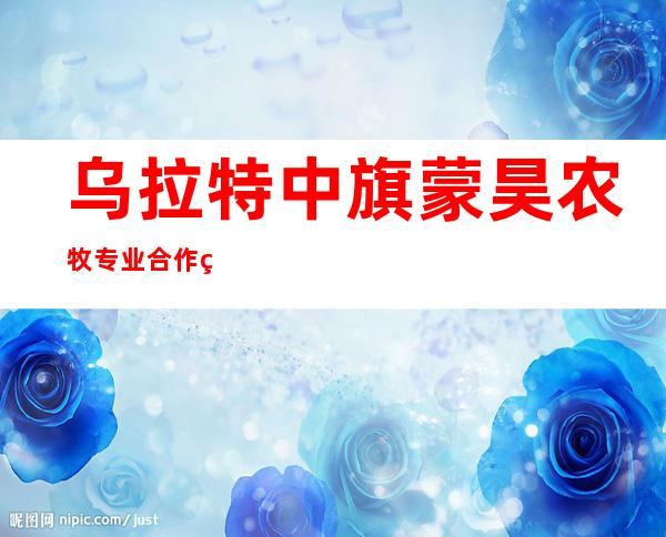 乌拉特中旗蒙昊农牧专业合作社