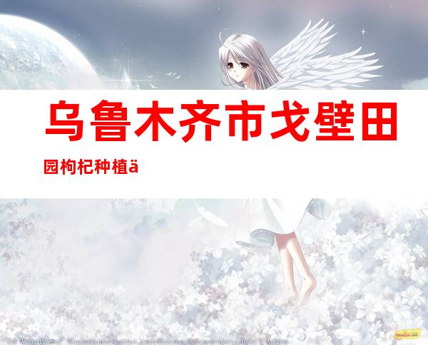 乌鲁木齐市戈壁田园枸杞种植专业合作社