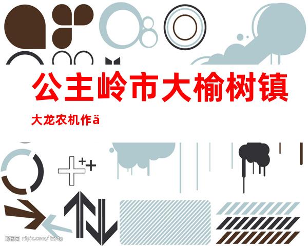 公主岭市大榆树镇大龙农机作业服务农民专业合作社