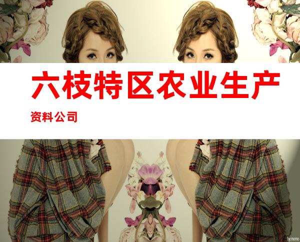 六枝特区农业生产资料公司