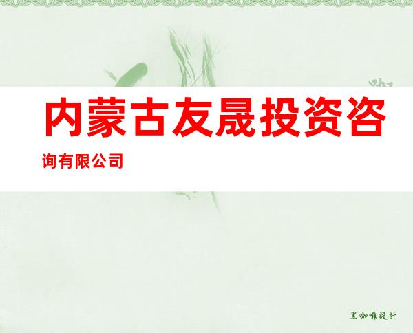 内蒙古友晟投资咨询有限公司
