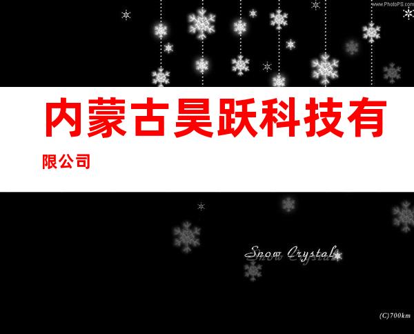 内蒙古昊跃科技有限公司