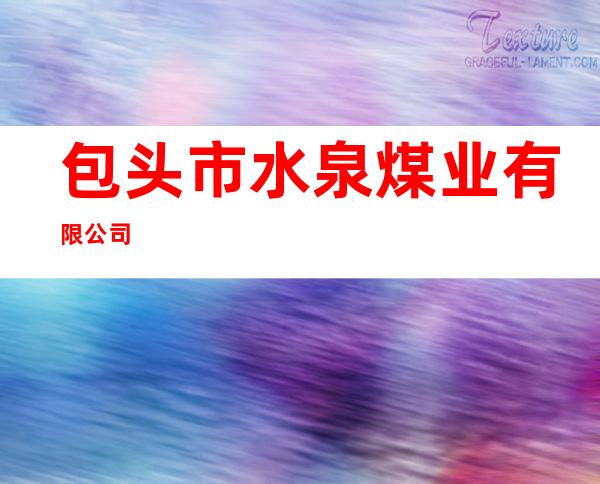 包头市水泉煤业有限公司