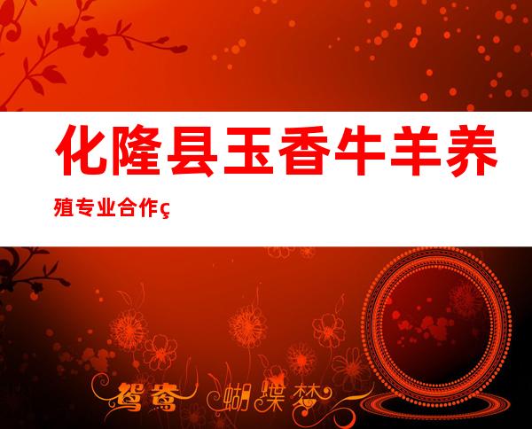 化隆县玉香牛羊养殖专业合作社