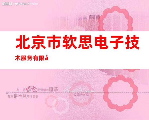 北京市软思电子技术服务有限公司北京分公司