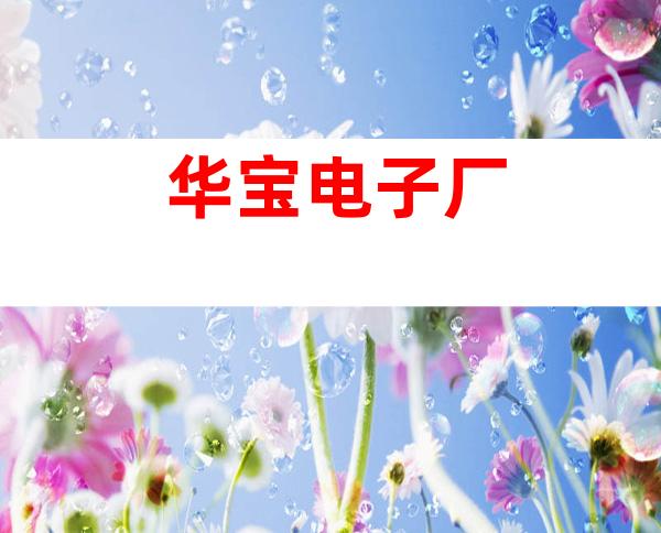 华宝电子厂