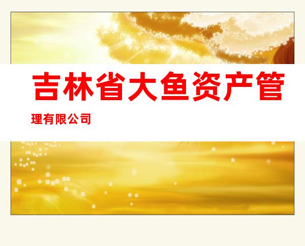 吉林省大鱼资产管理有限公司
