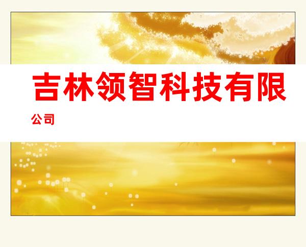 吉林领智科技有限公司