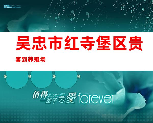 吴忠市红寺堡区贵客到养殖场