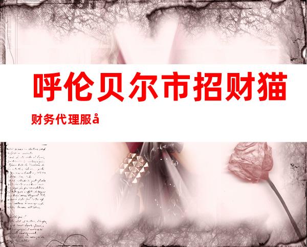 呼伦贝尔市招财猫财务代理服务有限公司