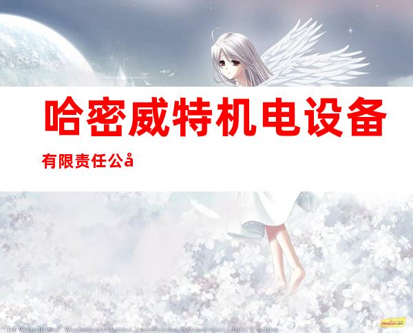 哈密威特机电设备有限责任公司