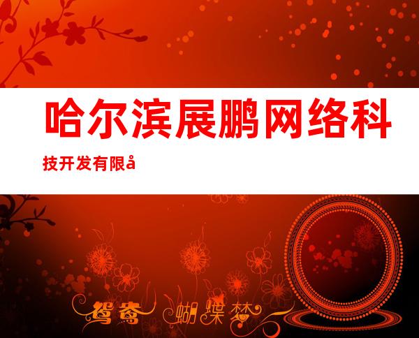 哈尔滨展鹏网络科技开发有限公司