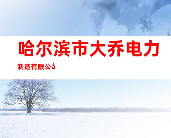 哈尔滨市大乔电力制造有限公司