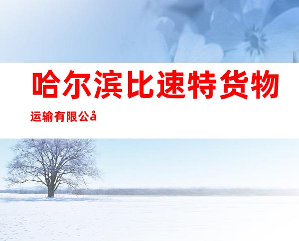 哈尔滨比速特货物运输有限公司