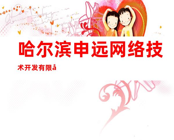 哈尔滨申远网络技术开发有限公司