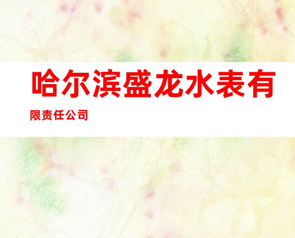 哈尔滨盛龙水表有限责任公司