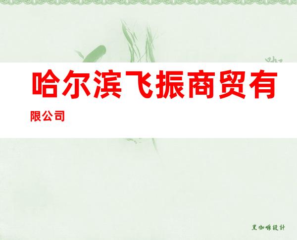哈尔滨飞振商贸有限公司