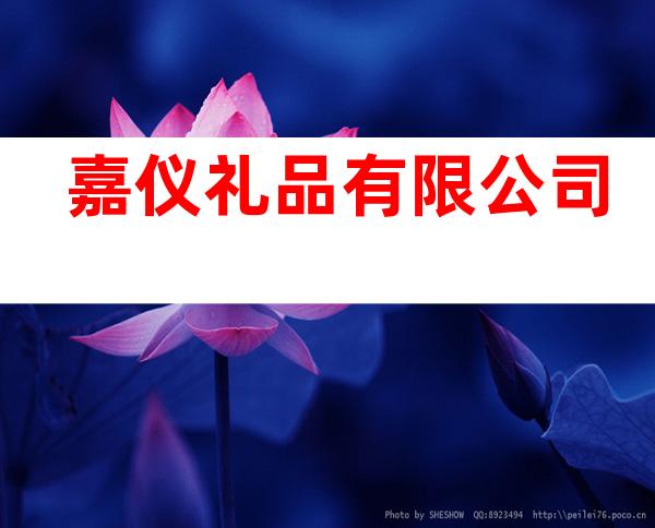 嘉仪礼品有限公司