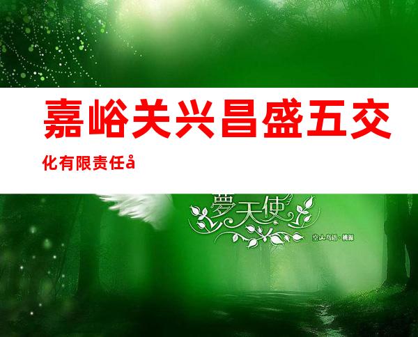 嘉峪关兴昌盛五交化有限责任公司