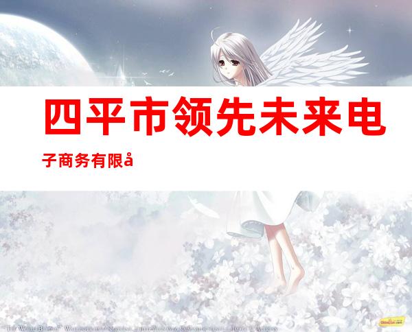 四平市领先未来电子商务有限公司
