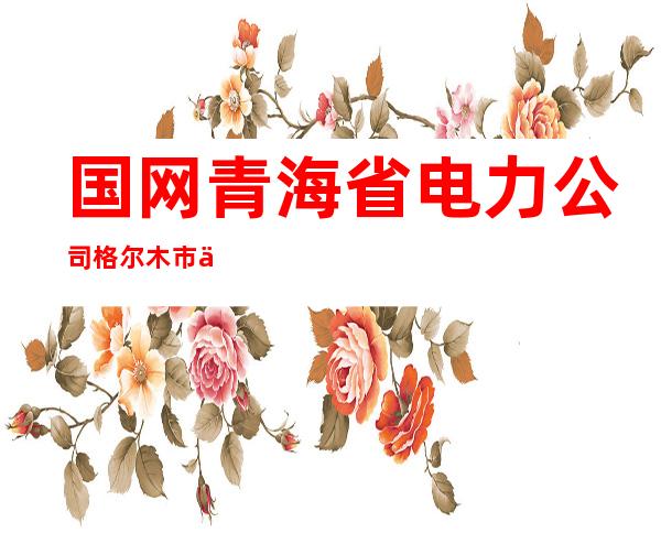 国网青海省电力公司格尔木市供电公司