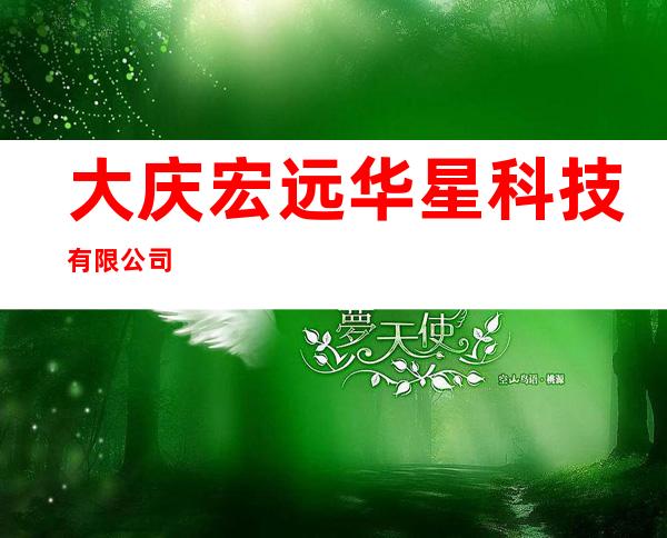 大庆宏远华星科技有限公司