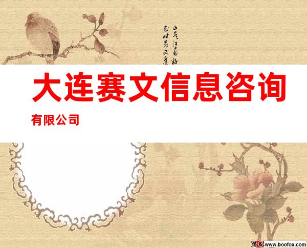 大连赛文信息咨询有限公司