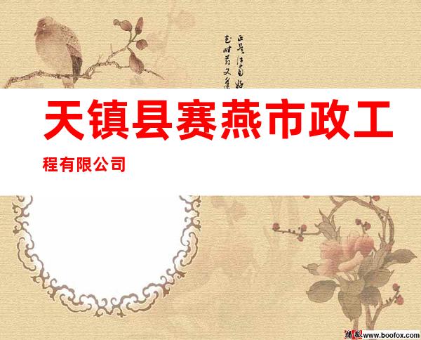 天镇县赛燕市政工程有限公司