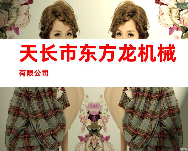 天长市东方龙机械有限公司