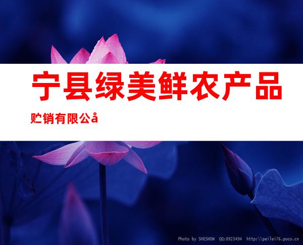 宁县绿美鲜农产品贮销有限公司