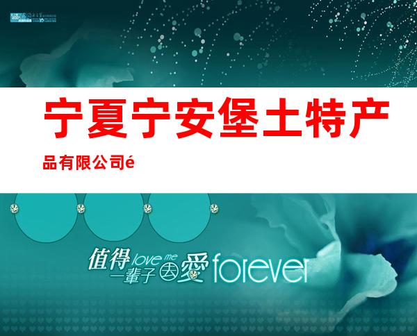 宁夏宁安堡土特产品有限公司银川二分公司