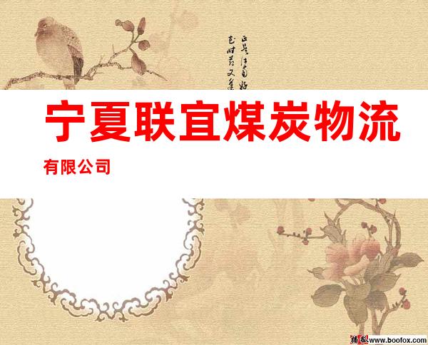 宁夏联宜煤炭物流有限公司