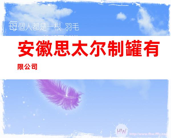 安徽思太尔制罐有限公司
