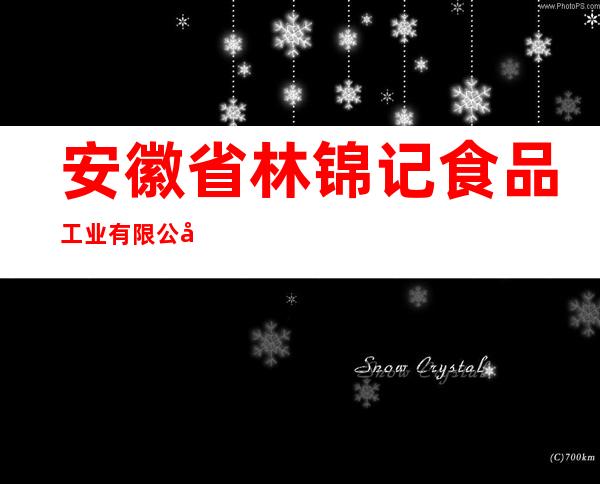 安徽省林锦记食品工业有限公司
