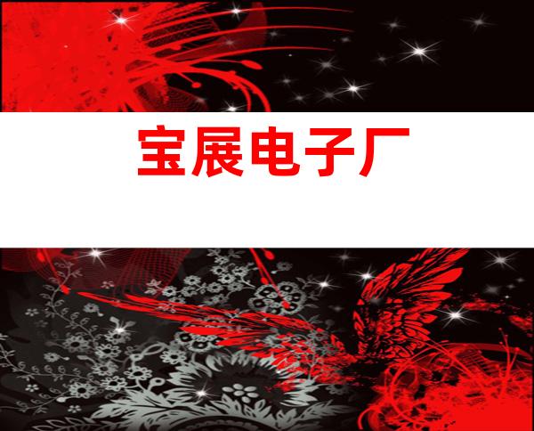 宝展电子厂