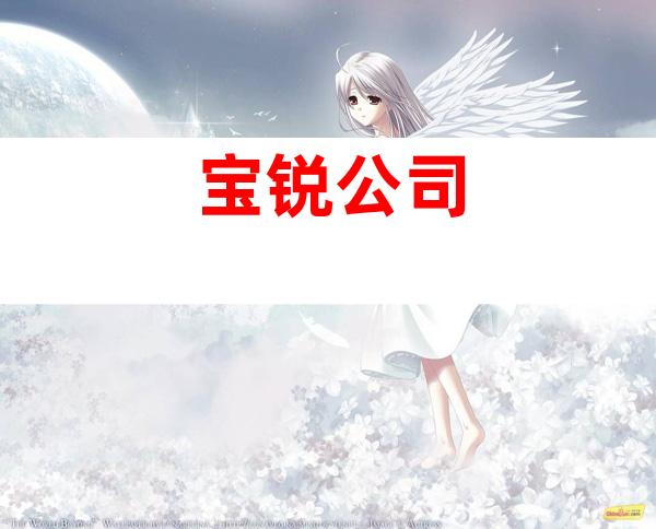 宝锐公司