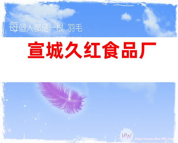 宣城久红食品厂