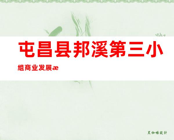 屯昌县邦溪第三小组商业发展有限公司