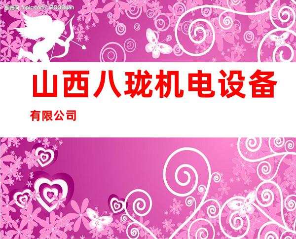 山西八珑机电设备有限公司