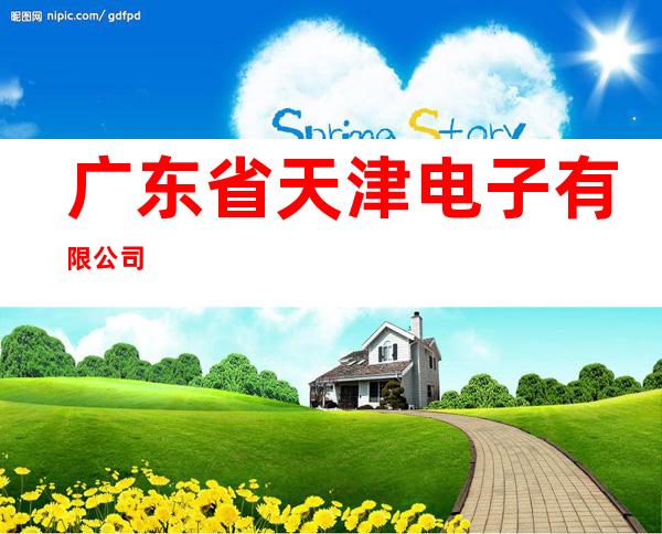 广东省天津电子有限公司