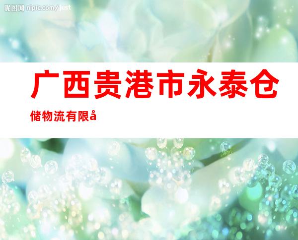 广西贵港市永泰仓储物流有限公司