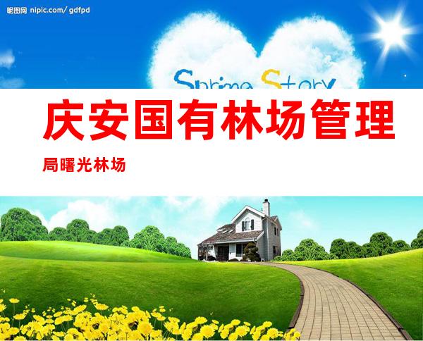 庆安国有林场管理局曙光林场
