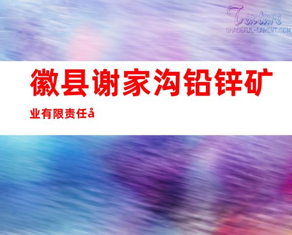 徽县谢家沟铅锌矿业有限责任公司