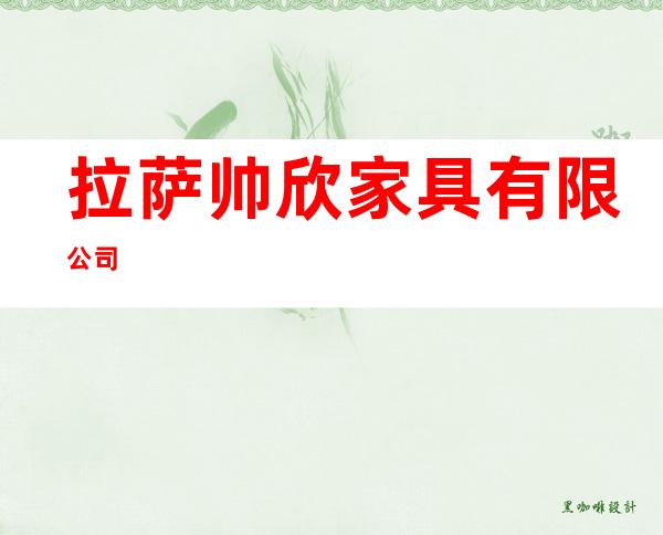 拉萨帅欣家具有限公司